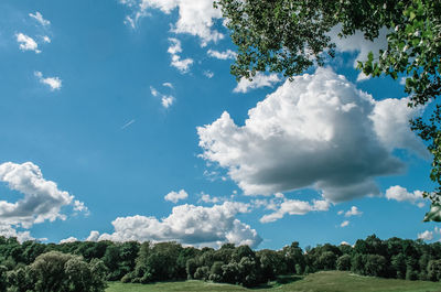 Low angle view of trees against sky