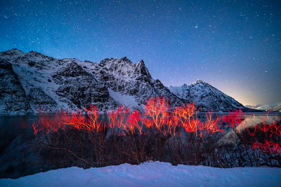 Bare trees at lakeshore against snowcapped mountains