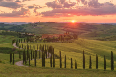 Scenic view of field against sky during sunset