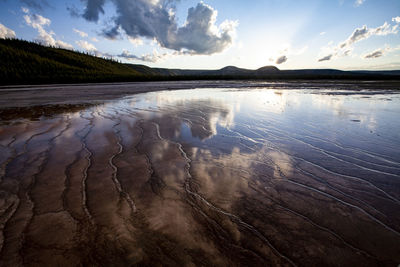 Yellowstone's geysers and thermal vents