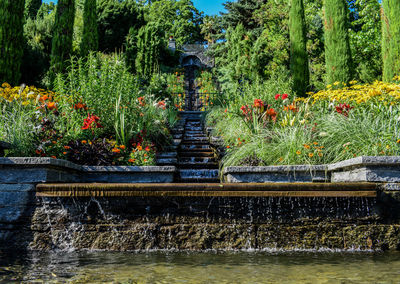 Statue of flowers in garden