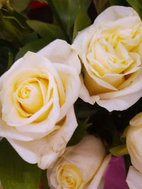 High angle view of rose bouquet