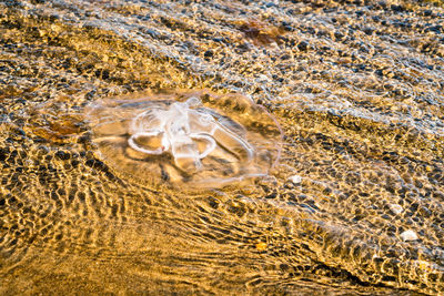 High angle view of water flowing in sea