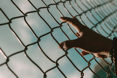 Close-up of hand on chainlink fence