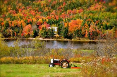 Vintage car on lake during autumn