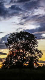 Silhouette tree on field against sky at sunset