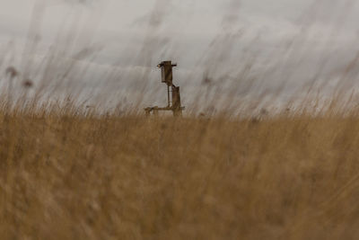 Windmill on field against sky