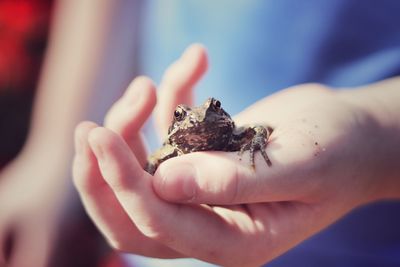 human hand