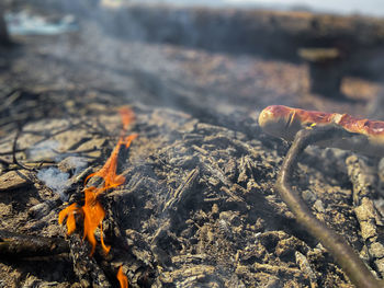 High angle view of fire on wood