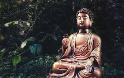 Statue of buddha in forest