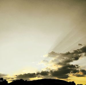 Scenic view of trees against sky