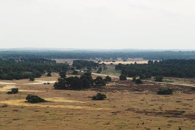 Scenic view of field against clear sky