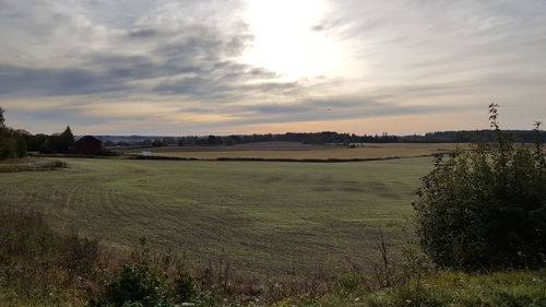 Scenic view of field against sky during sunset