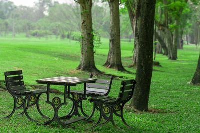 Empty bench in park