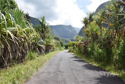 Road amidst trees and plants against sky