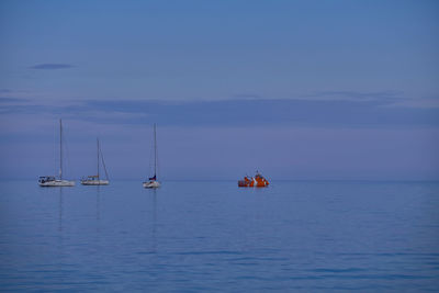 Sailboats sailing in sea against sky