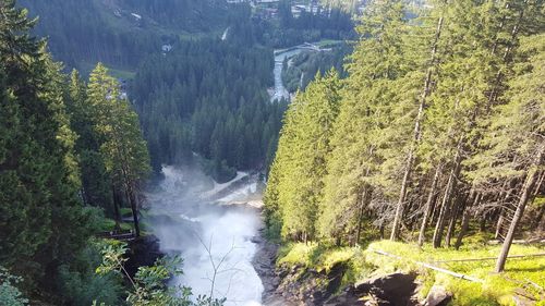 Scenic view of waterfall in forest
