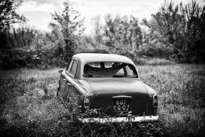 Abandoned car on field