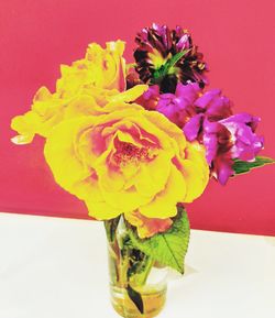 Close-up of yellow flower vase against red background