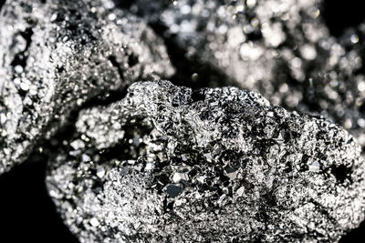 Close-up of lichen on rock