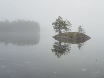 Reflection of tree in lake against sky