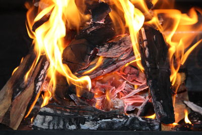 Close-up of bonfire at night