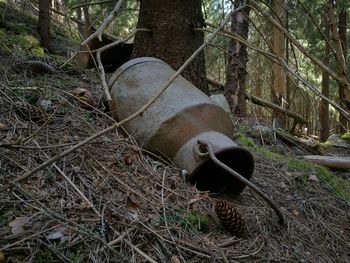 Rusty wheel in forest