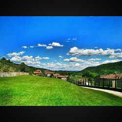 Scenic view of grassy field against blue sky