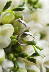 Full frame shot of wedding rings on bouquet