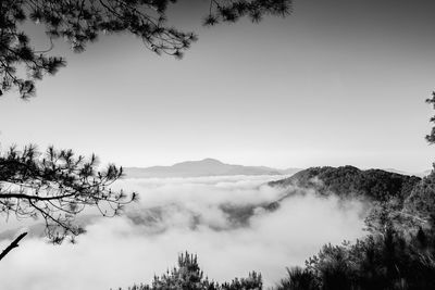 Scenic view of trees and mountains against sky