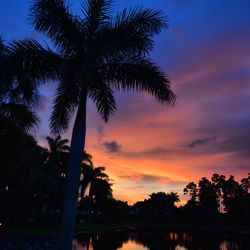 Silhouette palm trees at beach against sky during sunset