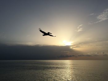 Pelican flying over sea and sun shining through clouds