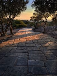 Walkway by trees against sky during sunset