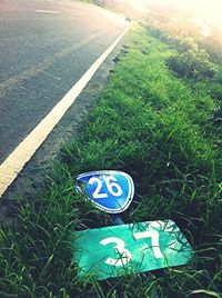 Road passing through grassy field