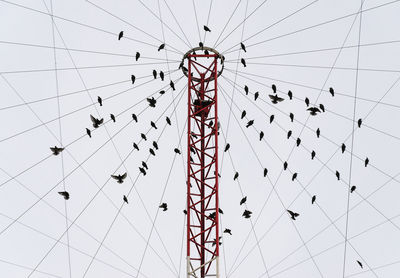 Low angle view of chain swing ride against sky