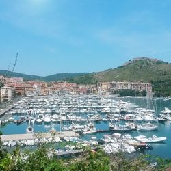 Boats in harbor with cityscape in background