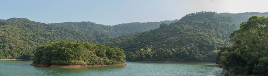 Scenic view of river amidst trees against sky