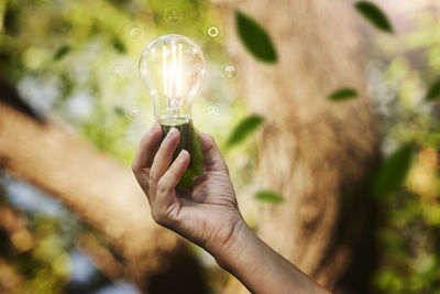 Hand holding lightbulb