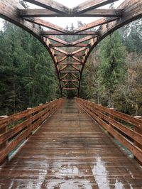 Footbridge in forest