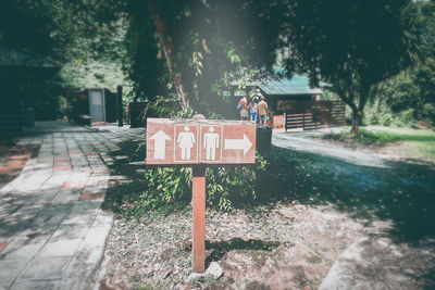 Information sign by wet tree in park