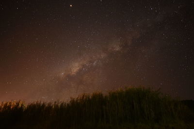 Milky way in tropical countries