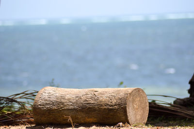 Close-up of log against sea