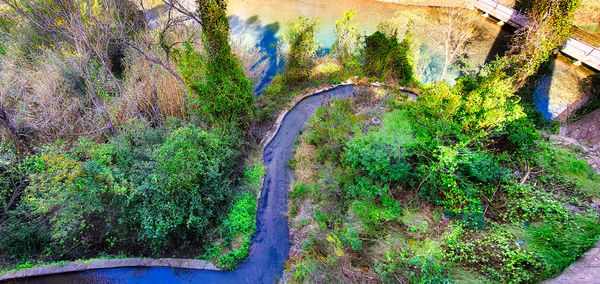 High angle view of road amidst trees in forest