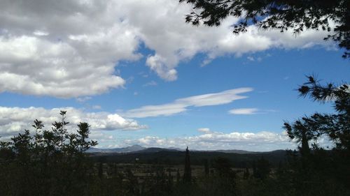 Trees on landscape against cloudy sky