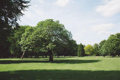 Trees on golf course against sky