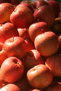 Full frame shot of apples