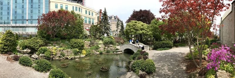 Plants and trees by canal in city
