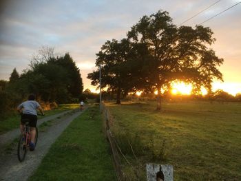 Rear view of man riding bicycle on road against sky during sunset