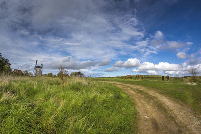 Scenic view of field against sky