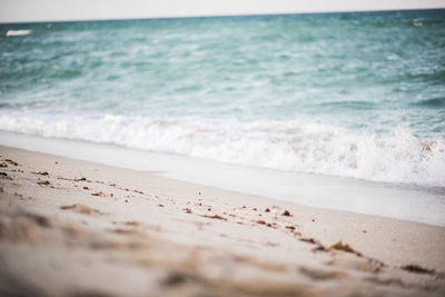 Surface level of beach